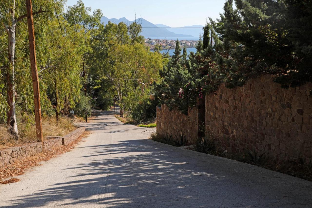 Eucalyptus Villa Aegina Exterior foto